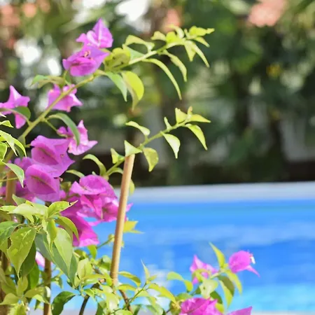 Apartamento Marinela *