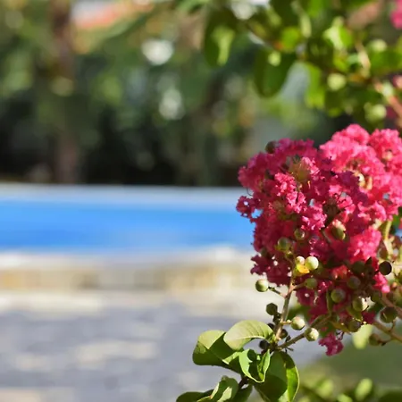 Marinela Appartement