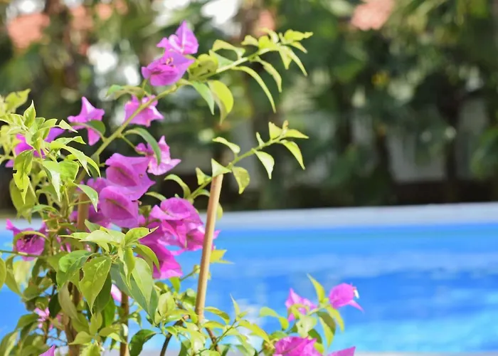 Apartamento Marinela *